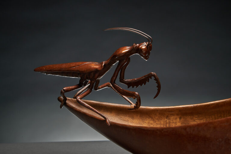 The Mantis Secret (4)
