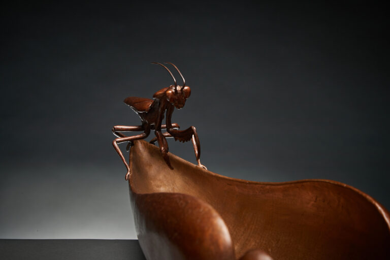 The Mantis Secret (7)