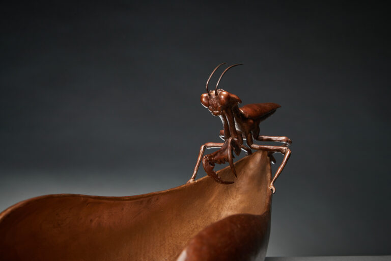 The Mantis Secret (8)